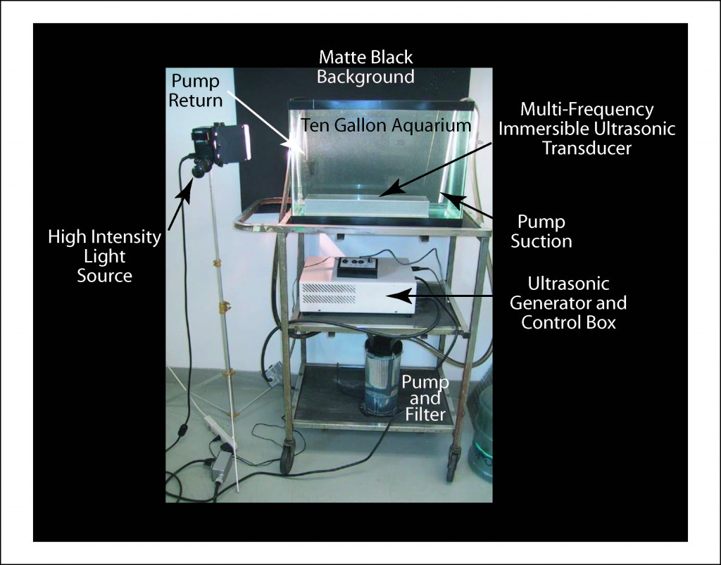 Illustration of an aquarium with an ultrasonic transducer and lighting to see underwater effects of ultrasonics.