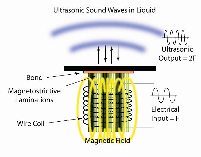 Schematic cross-section of a magnetostrictive ultrasonic transducer.
