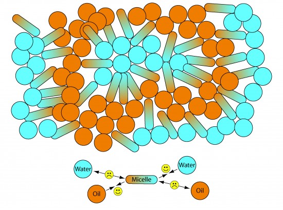 Illustration showing the activity of Micelles